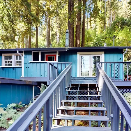 Redwood Paradise